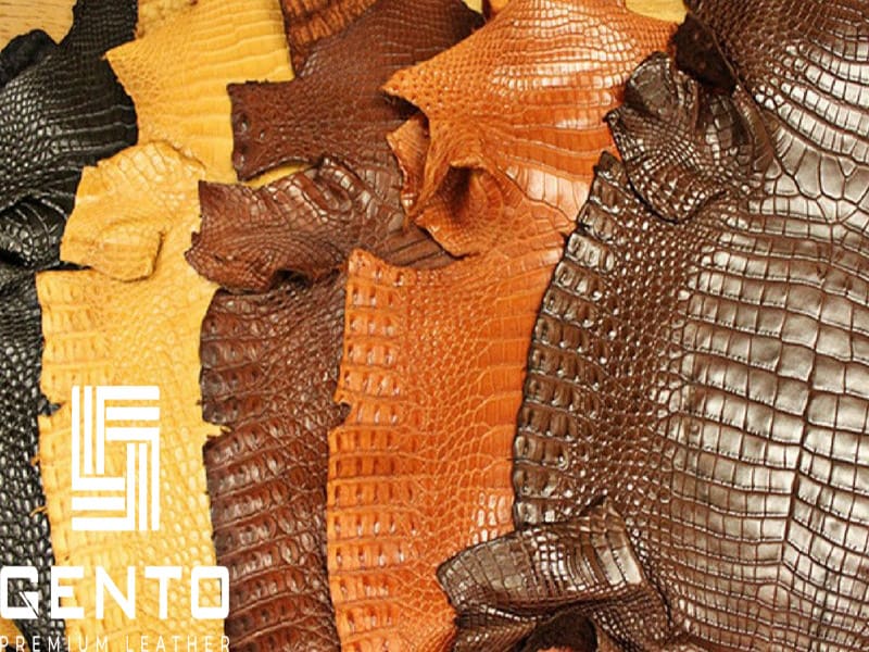 Cách nhận biết áo da thật giả bằng mắt thường - GENTO Leather