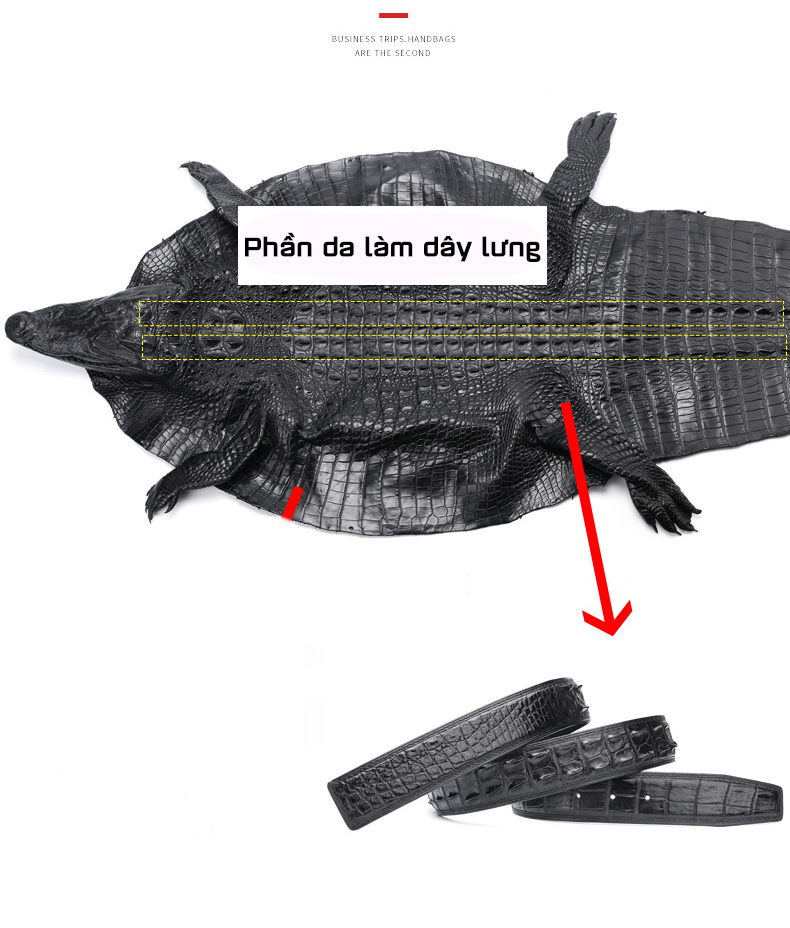 Dây lưng nam da cá sấu mặt chữ G Gento D4044 - GENTO Leather