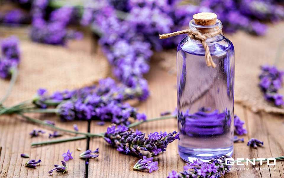 Dùng tinh dầu hoa oải hương Dùng tinh dầu hoa oải hương