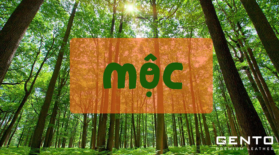 Đặc điểm của người mệnh Mộc 