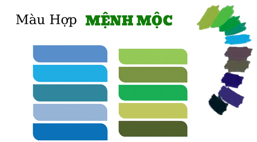 Mệnh Mộc hợp với màu gì? Trang phục nào hợp với người mệnh Mộc?