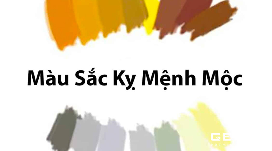 Mệnh Mộc kỵ màu nào?