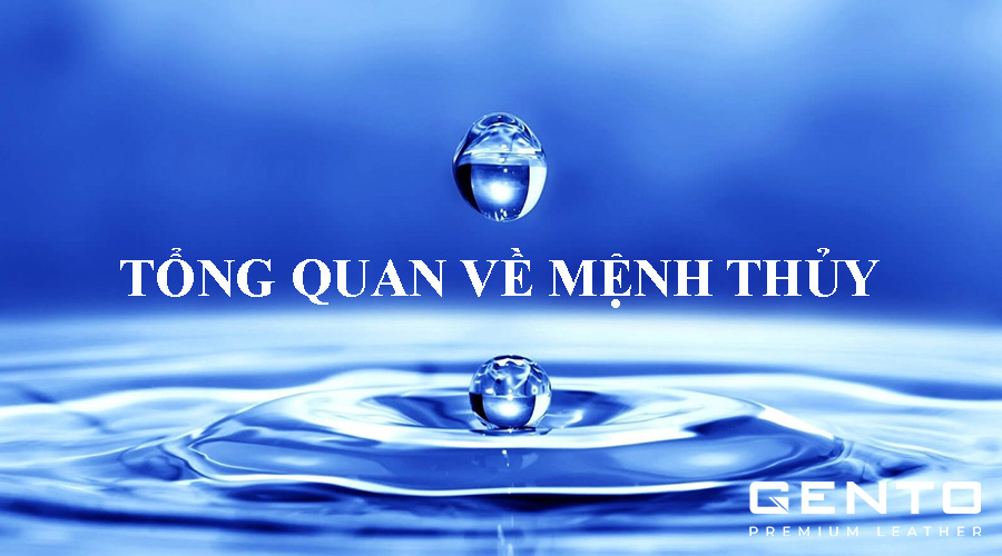 Tổng quan về người mệnh Thủy Tổng quan về người mệnh Thủy