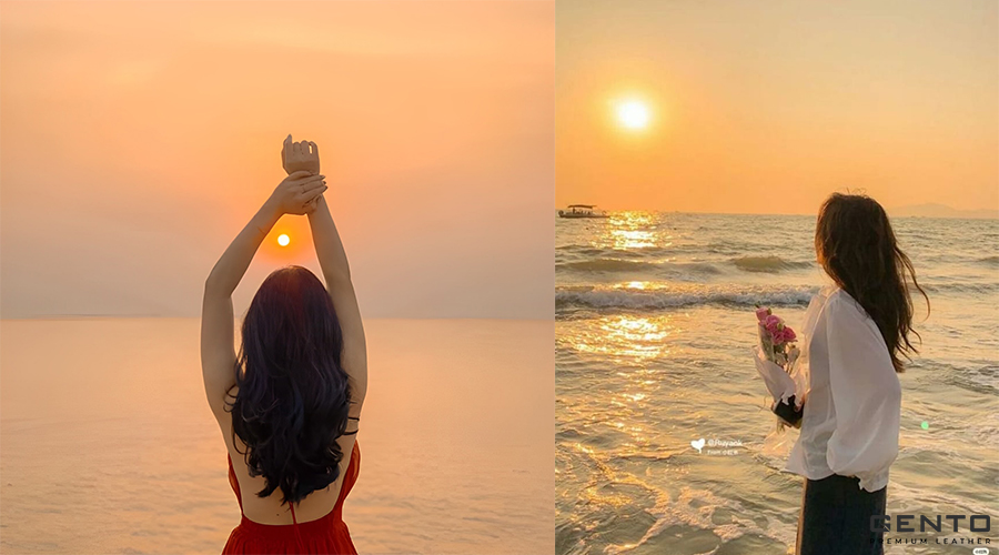 Hướng Về Ánh Mặt Trời