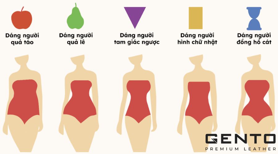 Dáng tam giác ngược có phần vai rộng hơn hông và eo Dáng tam giác ngược có phần vai rộng hơn hông và eo