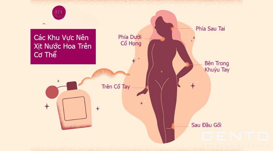 Vị trí xịt nước hoa thơm lâu giúp lưu hương cả ngày