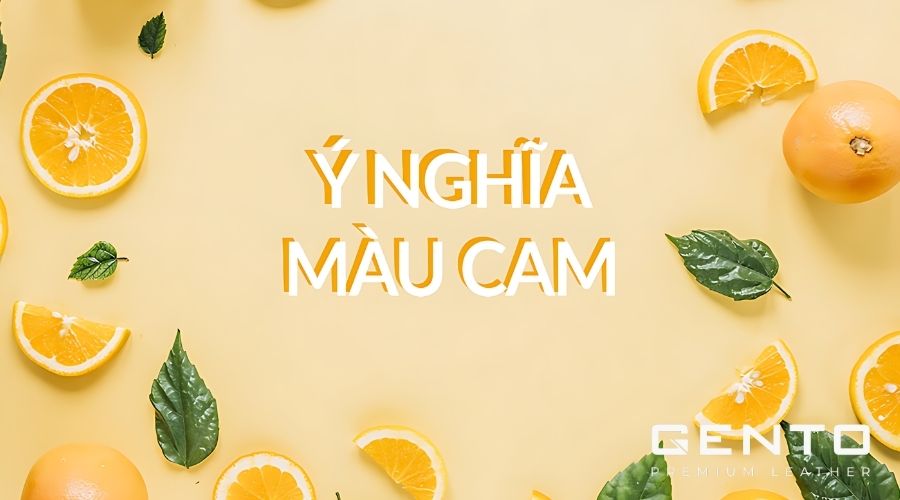 Màu cam có ý nghĩa đa dạng trong đời sống Màu cam có ý nghĩa đa dạng trong đời sống