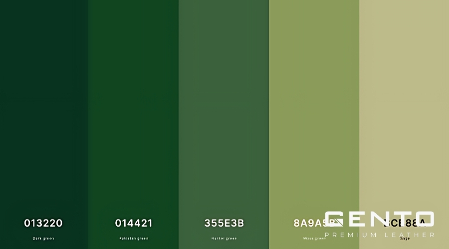 Màu xanh rêu là gì? Cách kết hợp với màu xanh rêu thời thượng, cuốn hút