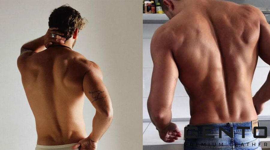 Hõm Apollo là gì? Tại sao tỷ lệ người có hõm Apollo chỉ chiếm 1%? - GENTO Leather