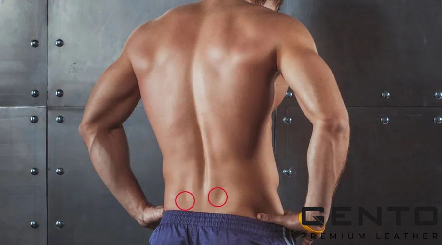 Hõm Apollo là gì? Tại sao tỷ lệ người có hõm Apollo chỉ chiếm 1%? - GENTO Leather