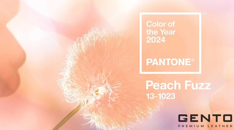 Màu của năm 2024 là màu 13-1023 Peach Fuzz Màu của năm 2024 là màu 13-1023 Peach Fuzz