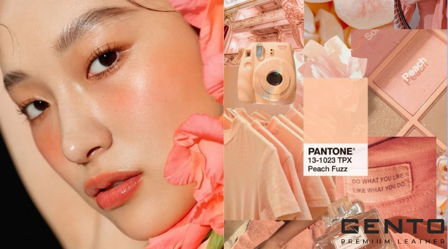 Ứng dụng của màu Peach Fuzz trong trang điểm làm đẹp Ứng dụng của màu Peach Fuzz trong trang điểm làm đẹp