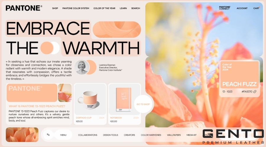 Màu chủ đạo 2024 Peach Fuzz được sử dụng rộng rãi trong thiết kế đồ hoạ Màu chủ đạo 2024 Peach Fuzz được sử dụng rộng rãi trong thiết kế đồ hoạ