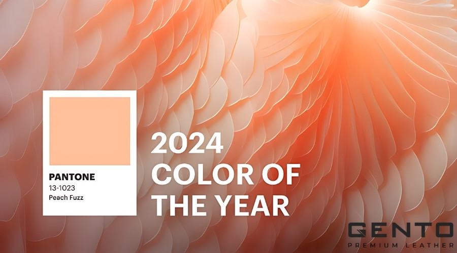 Màu của năm là gì? Ứng dụng của màu chủ đạo 2024 Peach Fuzz