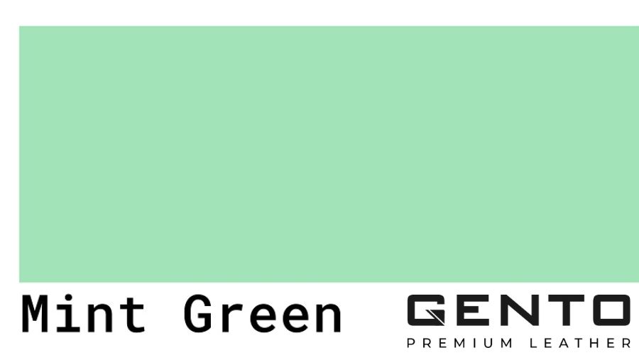Xanh mint là màu gì? Cách phối đồ với màu xanh mint đẹp, phong cách nhất - GENTO Leather