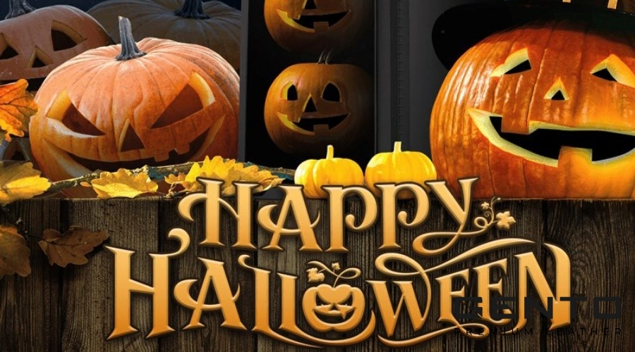 Halloween là ngày gì? Những hoạt động thú vị mà bạn nhất định phải thử trong lễ hội Halloween - GENTO Leather