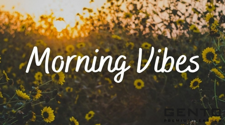 Vibe là gì? Tại sao từ Vibe được sử dụng nhiều trên mạng xã hội? - GENTO Leather
