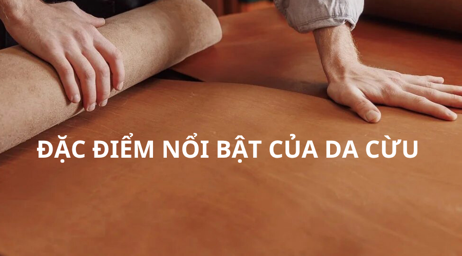 Da cừu có đặc điểm gì? So sánh da cừu với da bò loại nào tốt hơn