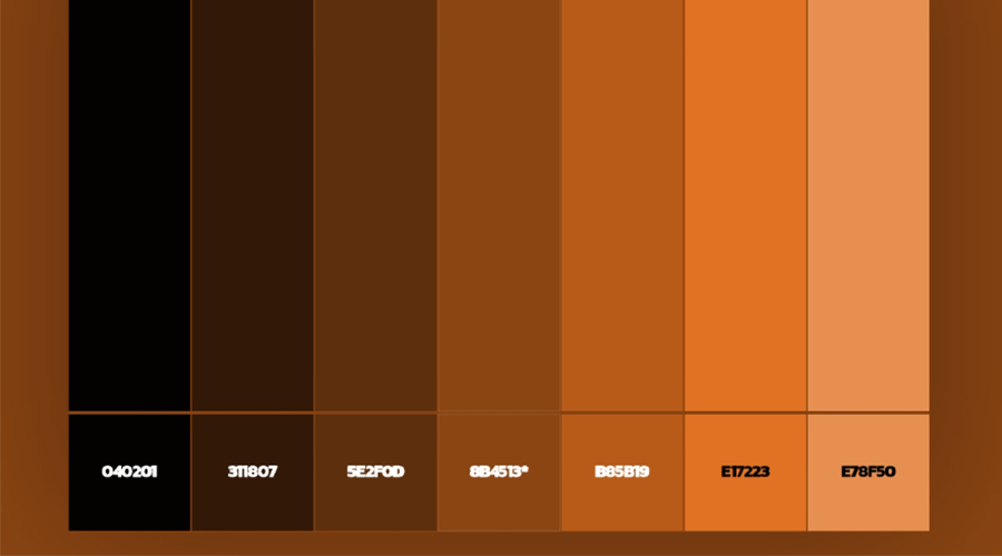Màu Nâu Là Gì? Ý Nghĩa, Các Sắc Thái Và Cách Kết Hợp Chuẩn Thời Trang