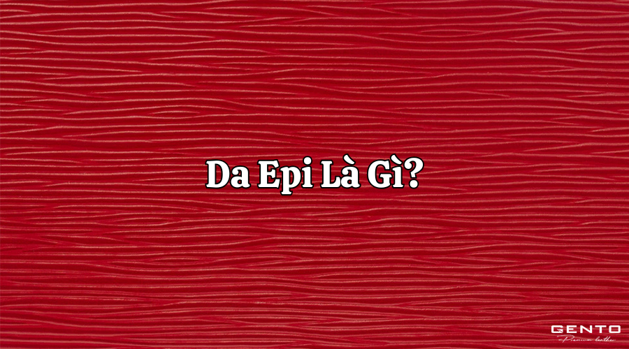 Da Epi là gì