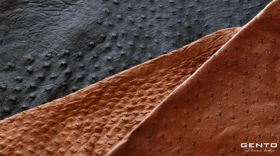 Độ bền của da Đà Điểu Độ bền của da Đà Điểu