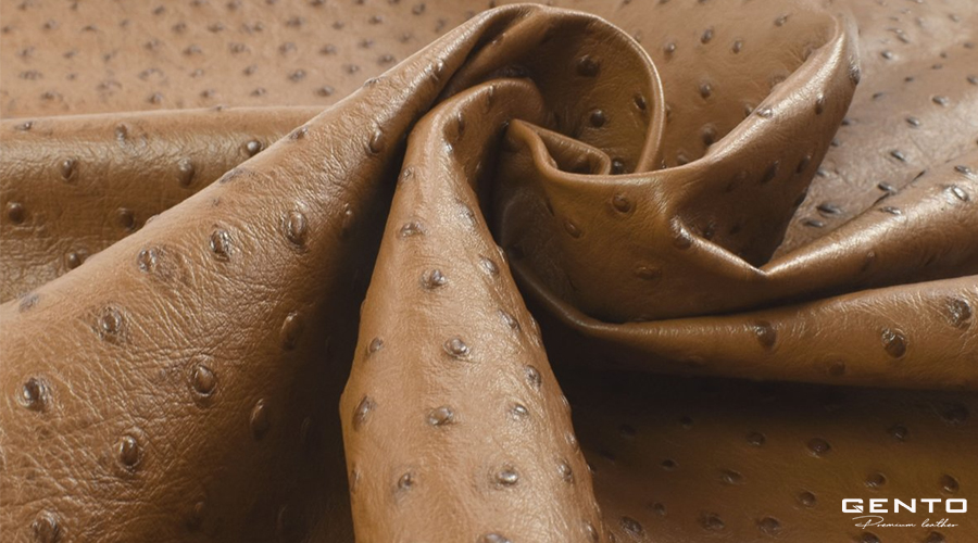 Cách bảo quản sản phẩm làm từ da đà điểu Cách bảo quản sản phẩm làm từ da đà điểu