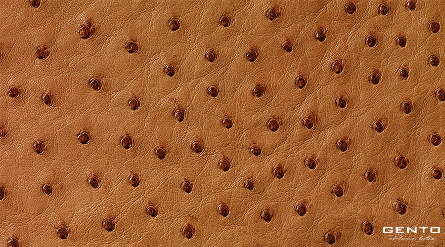 Lưu ý khi chọn mua sản phẩm làm từ da đà điểu Lưu ý khi chọn mua sản phẩm làm từ da đà điểu