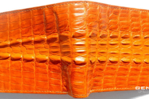 mini_huong-dan-chon-vi-da-phu-hop-theo-nhu-cau-va-phong-cach-ca-nhan_1763455349_1763455349