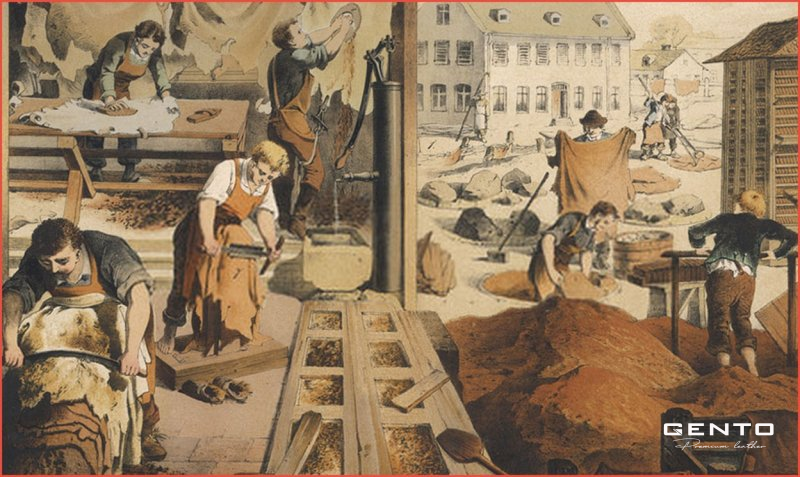 Lịch sử đồ da: Hành trình từ thời tiền sử đến biểu tượng của sự sang trọng Lịch sử đồ da: Hành trình từ thời tiền sử đến biểu tượng của sự sang trọng